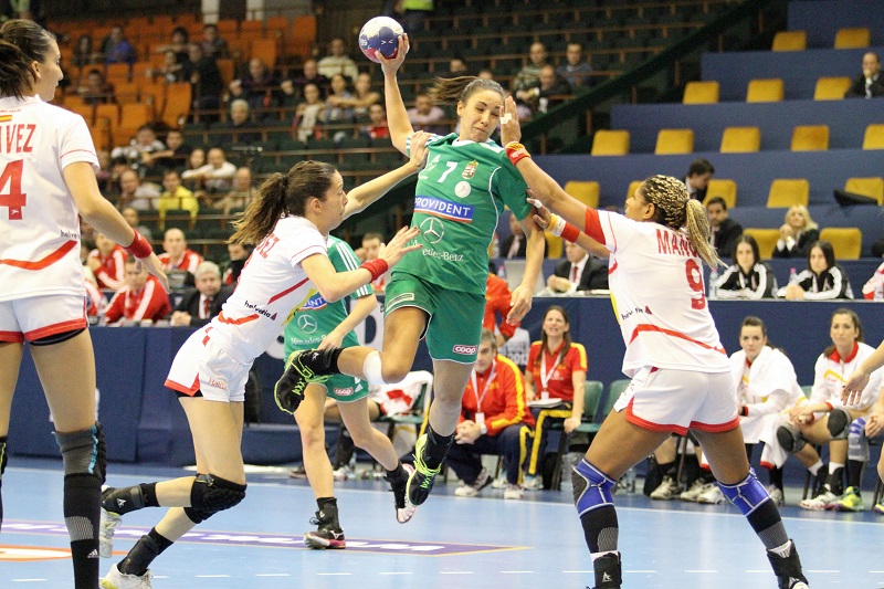 Telugu Talons Eyeing Victory in Premier Handball League Debut Season