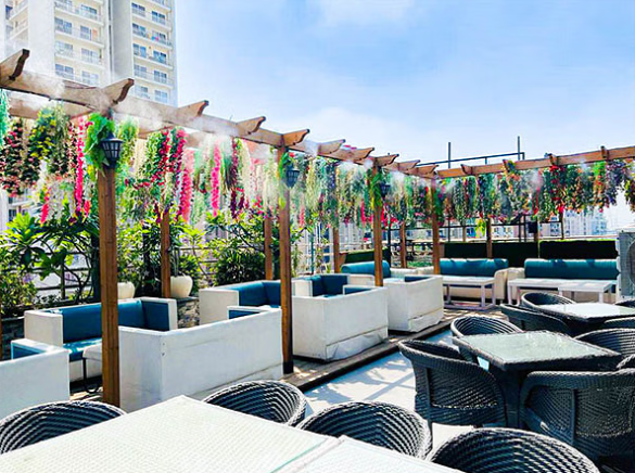  Elevate Your Dining Experience: The Terrace in Ghaziabad and Drink And Dine in Noida Offer Unmissable Deals!